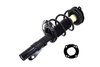 1333823R Suspension Strut and Coil Spring Assembly - image 4