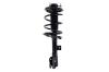 1333825L Suspension Strut and Coil Spring Assembly - image 1