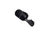 1333825L Suspension Strut and Coil Spring Assembly - image 2