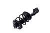 1333825R Suspension Strut and Coil Spring Assembly - image 3