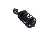 1333825R Suspension Strut and Coil Spring Assembly - image 4