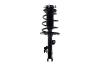 1333826L Suspension Strut and Coil Spring Assembly - image 1