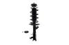 1333831R Suspension Strut and Coil Spring Assembly - image 1
