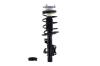 1333833L Suspension Strut and Coil Spring Assembly - image 1