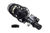 1333833L Suspension Strut and Coil Spring Assembly - image 2