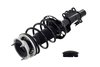 1333833L Suspension Strut and Coil Spring Assembly - image 3
