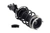 1333833L Suspension Strut and Coil Spring Assembly - image 4