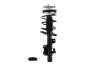 1333833R Suspension Strut and Coil Spring Assembly - image 1