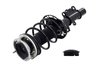 1333833R Suspension Strut and Coil Spring Assembly - image 3