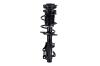 1333838R Suspension Strut and Coil Spring Assembly - image 1