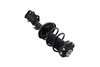 1333840L Suspension Strut and Coil Spring Assembly - image 4