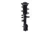 1333840R Suspension Strut and Coil Spring Assembly - image 1