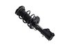 1333840R Suspension Strut and Coil Spring Assembly - image 2