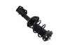 1333840R Suspension Strut and Coil Spring Assembly - image 4