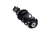 1333841L Suspension Strut and Coil Spring Assembly - image 4