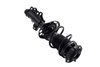 1333842L Suspension Strut and Coil Spring Assembly - image 4