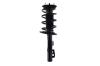 1333864R Suspension Strut and Coil Spring Assembly - image 1