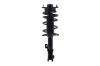 1333922L Suspension Strut and Coil Spring Assembly - image 1