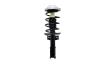 1333924 Suspension Strut and Coil Spring Assembly - image 1