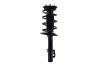 1333928R Suspension Strut and Coil Spring Assembly - image 1