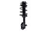 1333940L Suspension Strut and Coil Spring Assembly - image 1