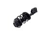 1333940L Suspension Strut and Coil Spring Assembly - image 3