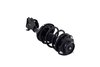 1333940L Suspension Strut and Coil Spring Assembly - image 4