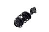 1333940R Suspension Strut and Coil Spring Assembly - image 3