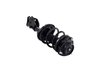 1333940R Suspension Strut and Coil Spring Assembly - image 4