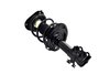 1333942R Suspension Strut and Coil Spring Assembly - image 2