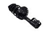 1333945R Suspension Strut and Coil Spring Assembly - image 1