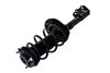 1333945R Suspension Strut and Coil Spring Assembly - image 2