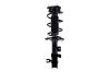 1333951L Suspension Strut and Coil Spring Assembly - image 1