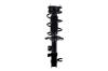 1333951R Suspension Strut and Coil Spring Assembly - image 1