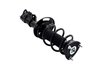 1333951R Suspension Strut and Coil Spring Assembly - image 4