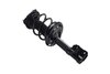 1333961L Suspension Strut and Coil Spring Assembly - image 2