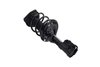 1333961R Suspension Strut and Coil Spring Assembly - image 2