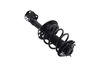 1333961R Suspension Strut and Coil Spring Assembly - image 4