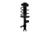 1333964L Suspension Strut and Coil Spring Assembly - image 1