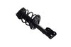 1333964L Suspension Strut and Coil Spring Assembly - image 2
