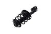 1333964L Suspension Strut and Coil Spring Assembly - image 3