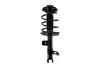 1333964R Suspension Strut and Coil Spring Assembly - image 1