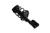 1333964R Suspension Strut and Coil Spring Assembly - image 2