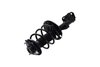 1333964R Suspension Strut and Coil Spring Assembly - image 3