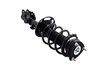 1333967L Suspension Strut and Coil Spring Assembly - image 4