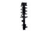 1333967R Suspension Strut and Coil Spring Assembly - image 1