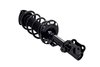 1333967R Suspension Strut and Coil Spring Assembly - image 2