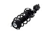 1333967R Suspension Strut and Coil Spring Assembly - image 3