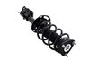1333967R Suspension Strut and Coil Spring Assembly - image 4