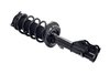 1333969L Suspension Strut and Coil Spring Assembly - image 2